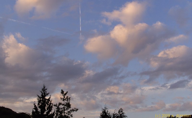 sky_219.jpg